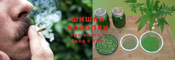 ГАЛЛЮЦИНОГЕННЫЕ ГРИБЫ Аркадак