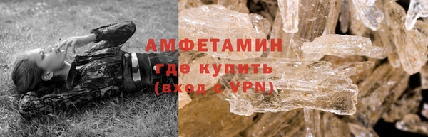 ГАЛЛЮЦИНОГЕННЫЕ ГРИБЫ Аркадак